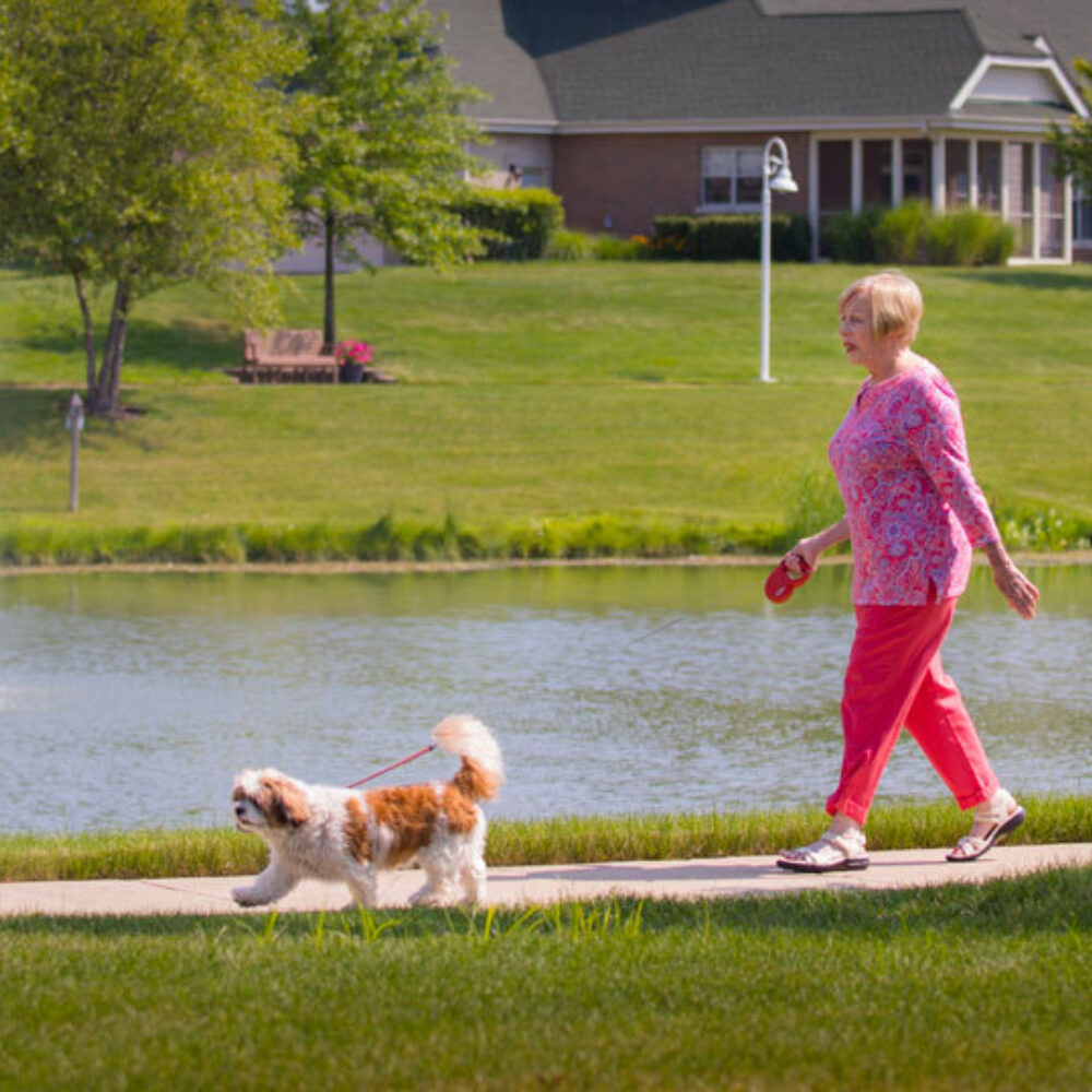224ab704 dog walking woman3